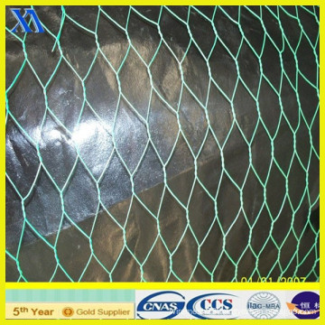 Aquaculture with PVC Coated Hexagonal Wire Mesh (XA-HM414)